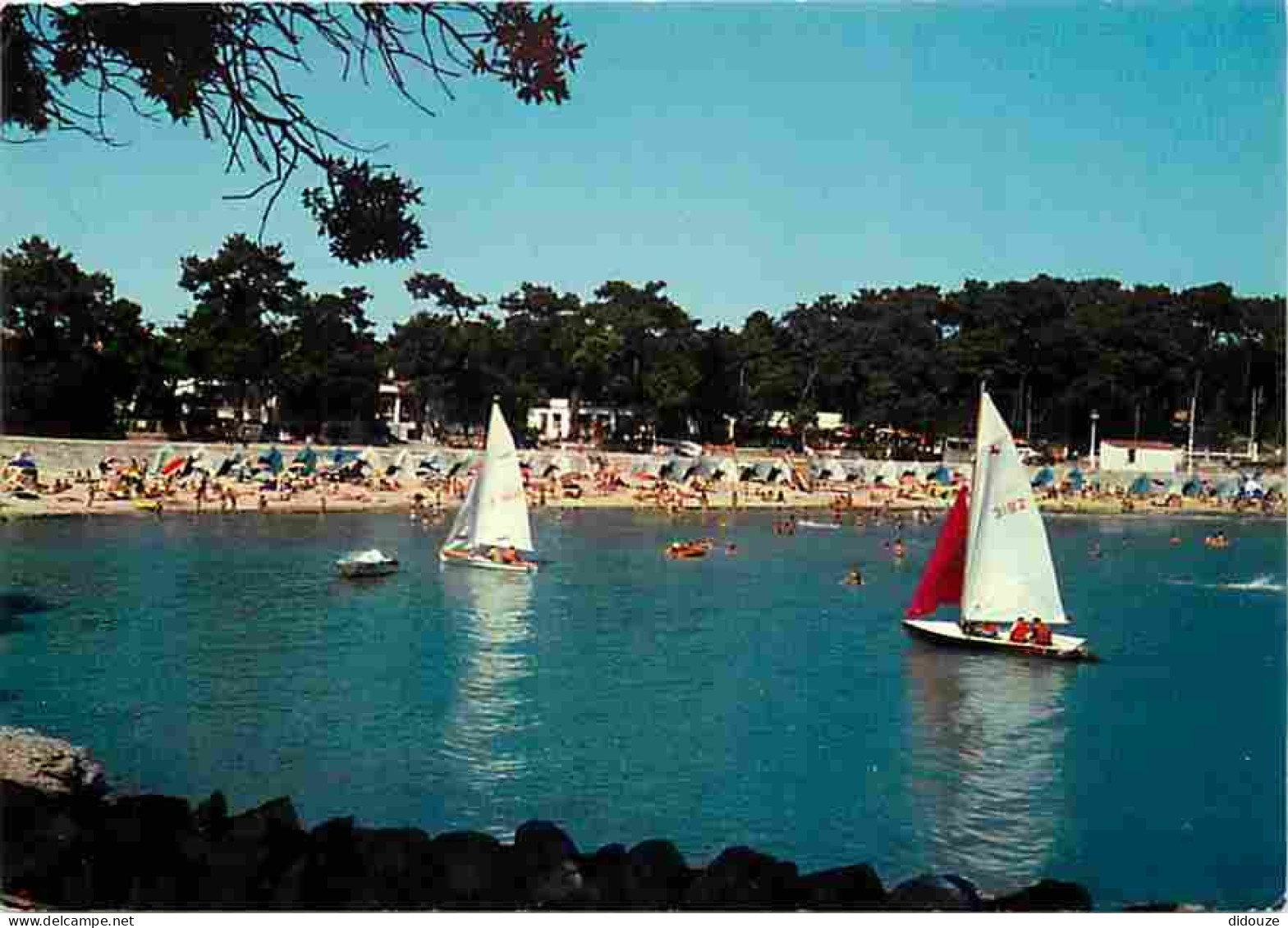 17 - Vaux sur Mer - La plage de Nauzan - Scènes de Plage - Voile - CPM - Voir Scans Recto-Verso