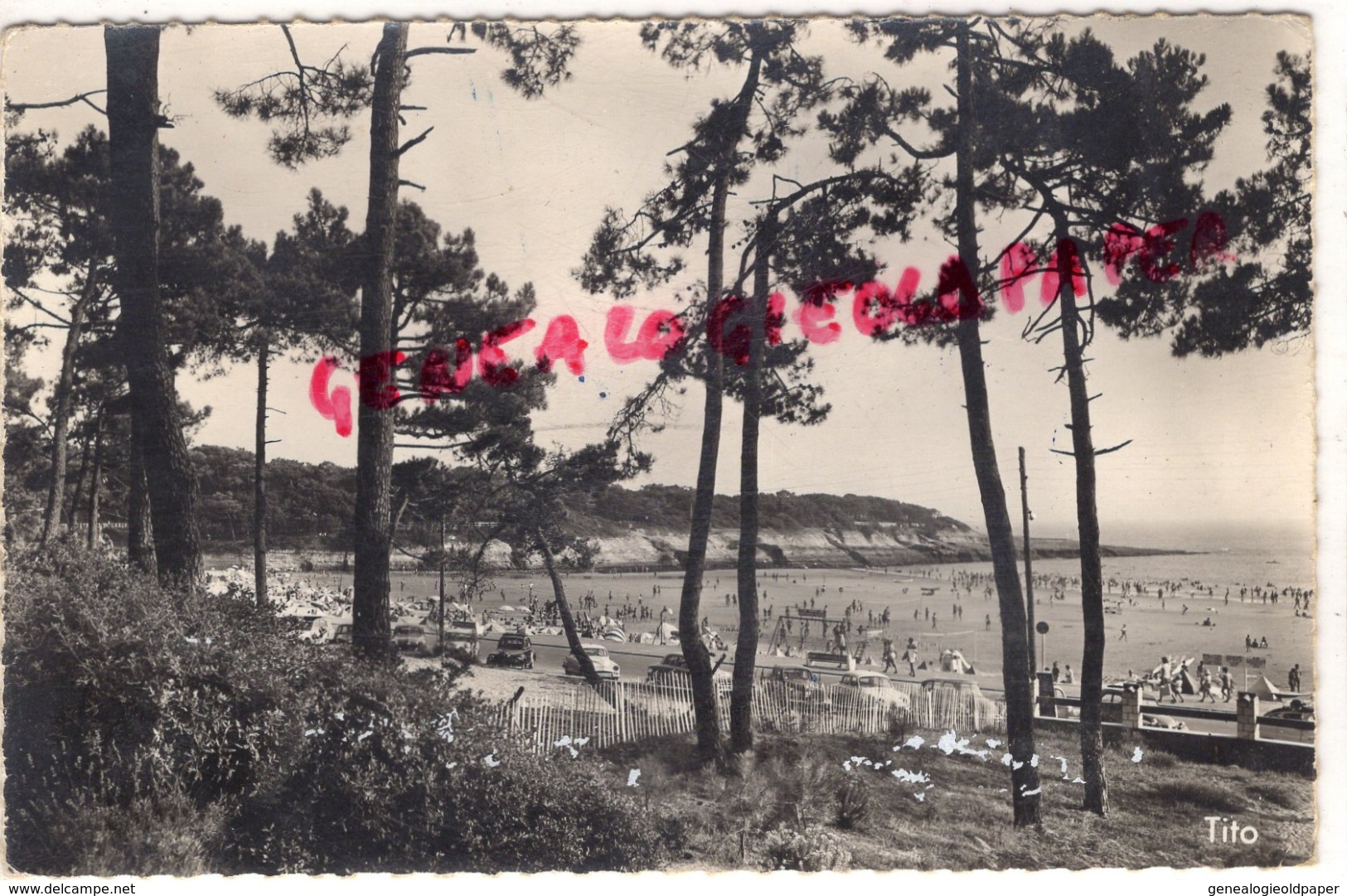 17 - VAUX SUR MER - LA POINTE SUD DE LA PLAGE DE NAUZAN