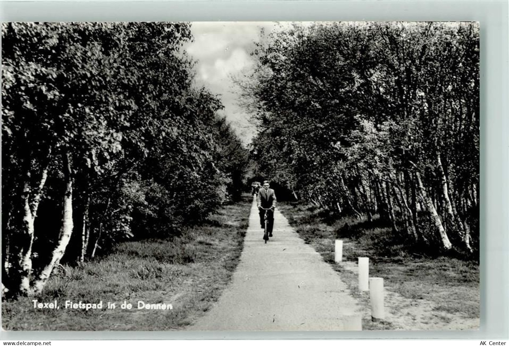 1797 Den Hoorn DEN HOORN TEXEL - Fietspad in de Dennen - 11035651