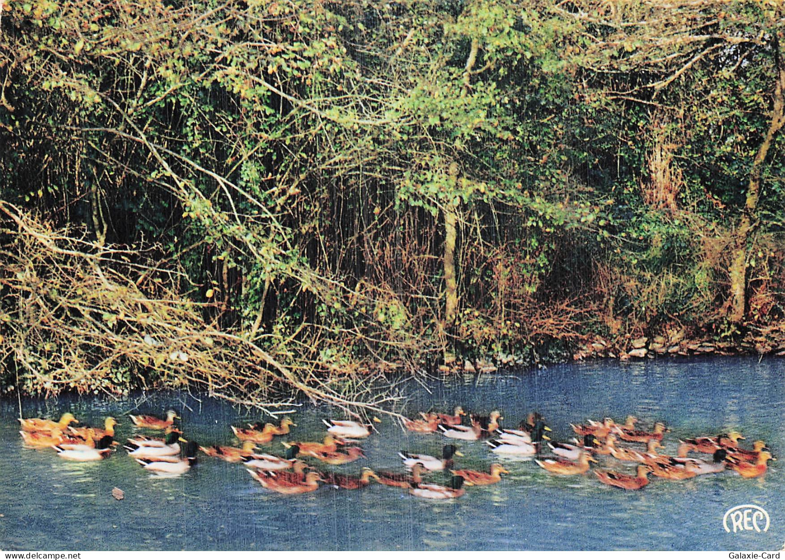 18 VOUZERON ENVIRONS DE VOUZERON