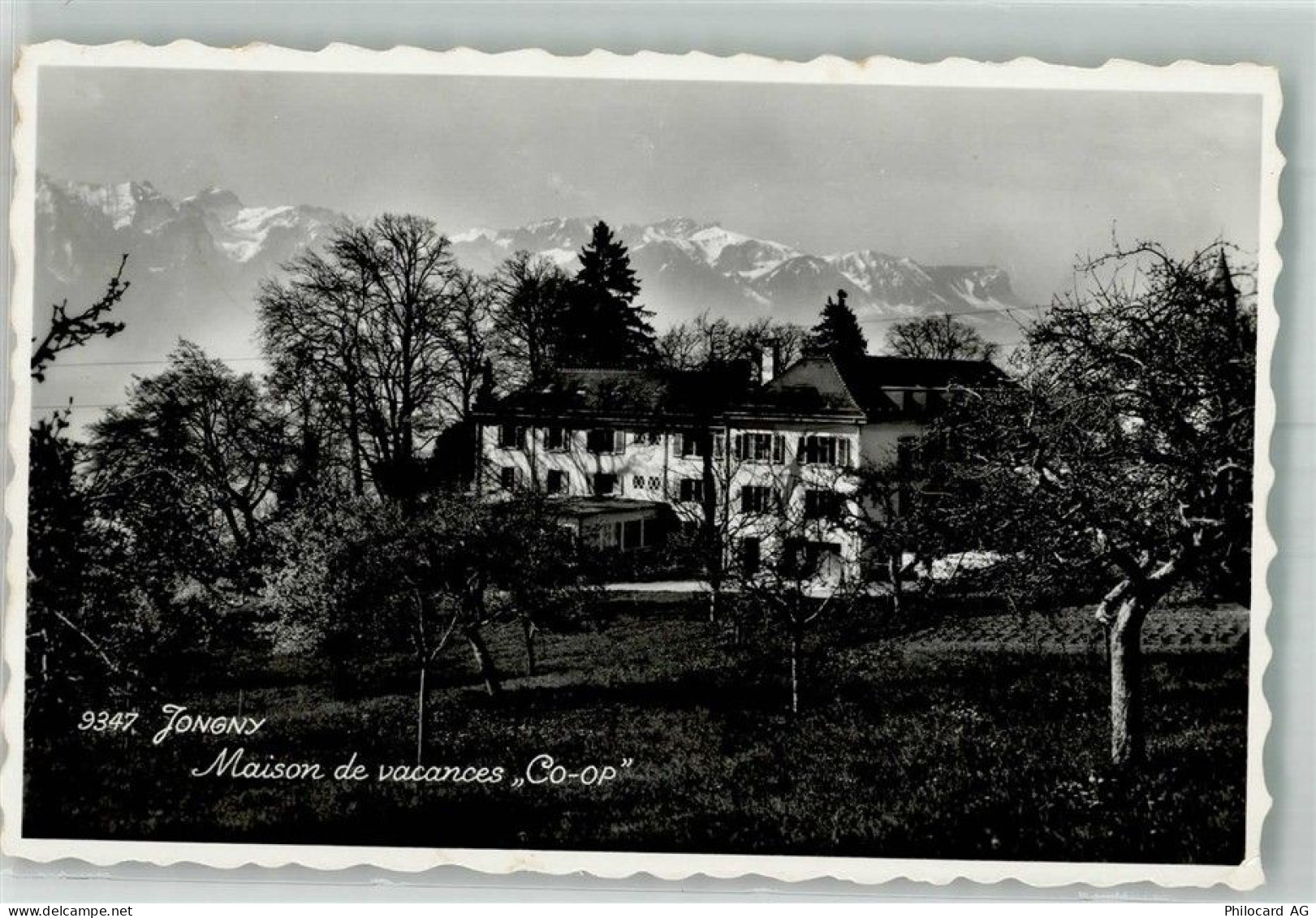 1805 Jongny 1951 Foto AK Pension Maison de vacances Co-op - 38212192