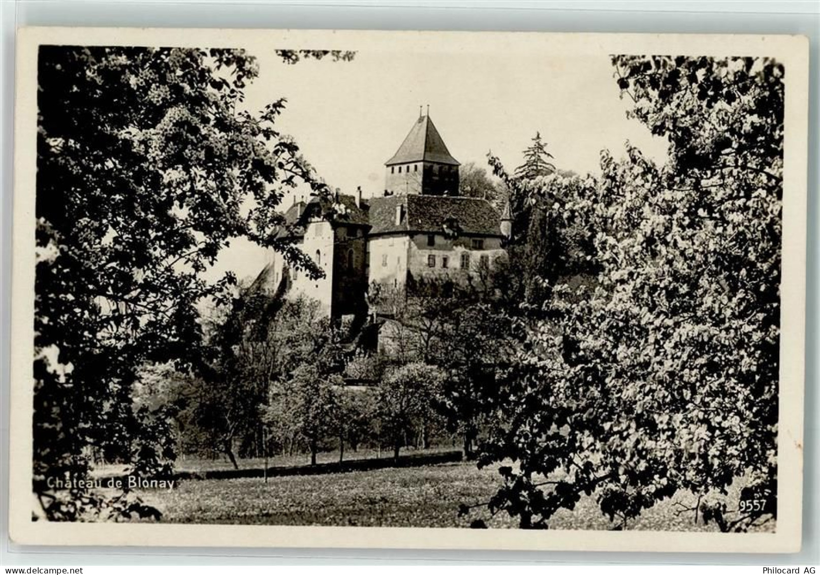1807 Blonay - Schloss - 39372515