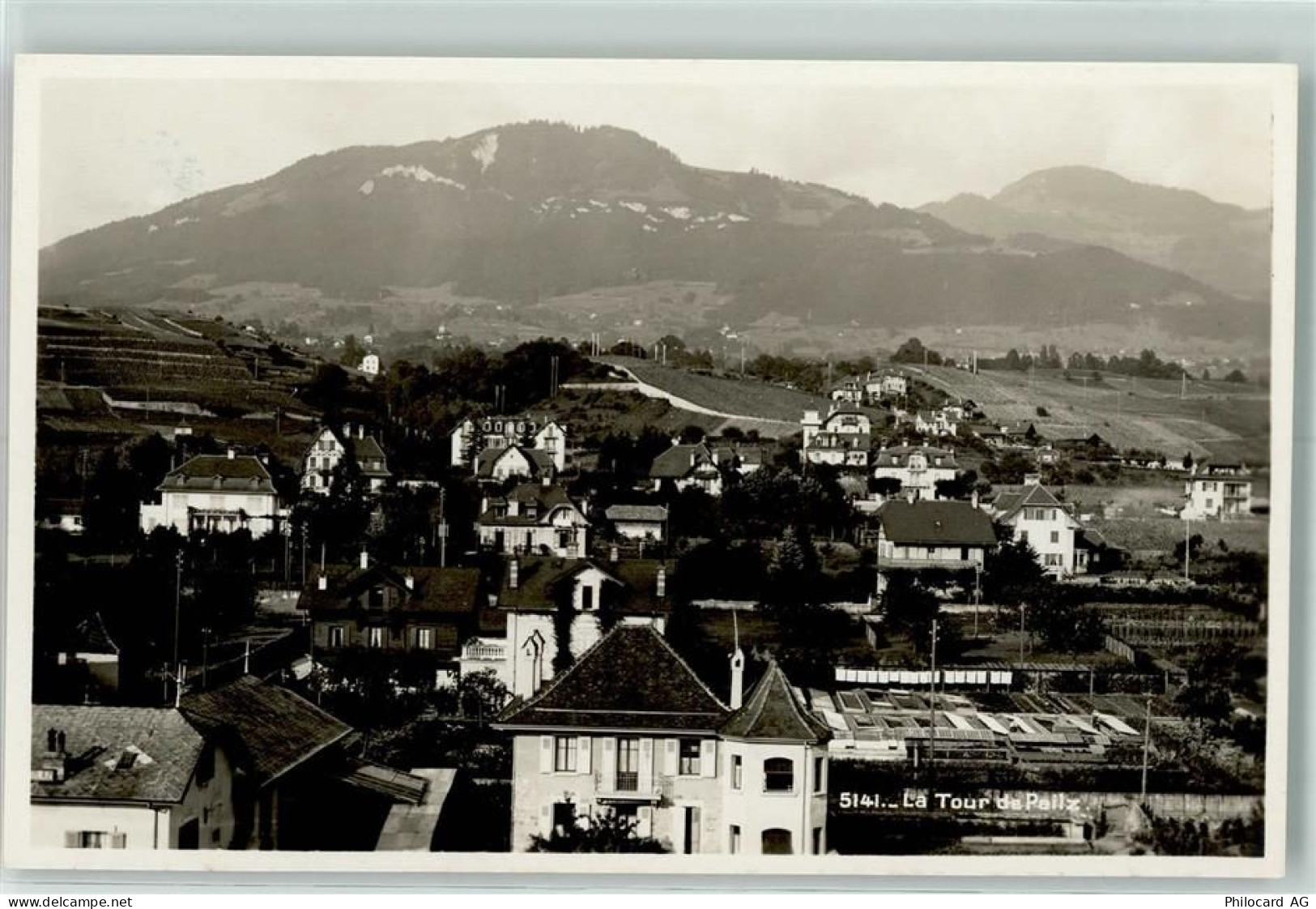 1814 La Tour-de-Peilz - 10303141