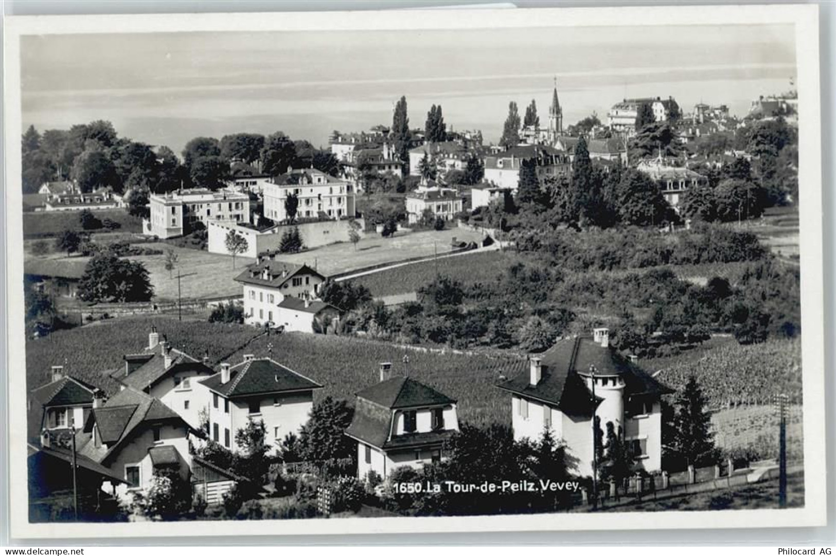 1814 La Tour-de-Peilz - Vevey - 50699193