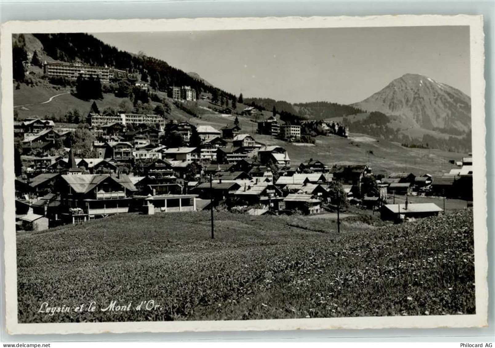 1854 Leysin - 10204404