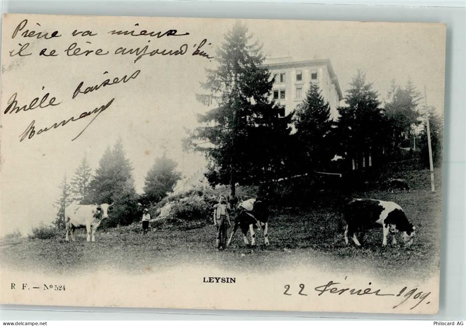 1854 Leysin - 10204417