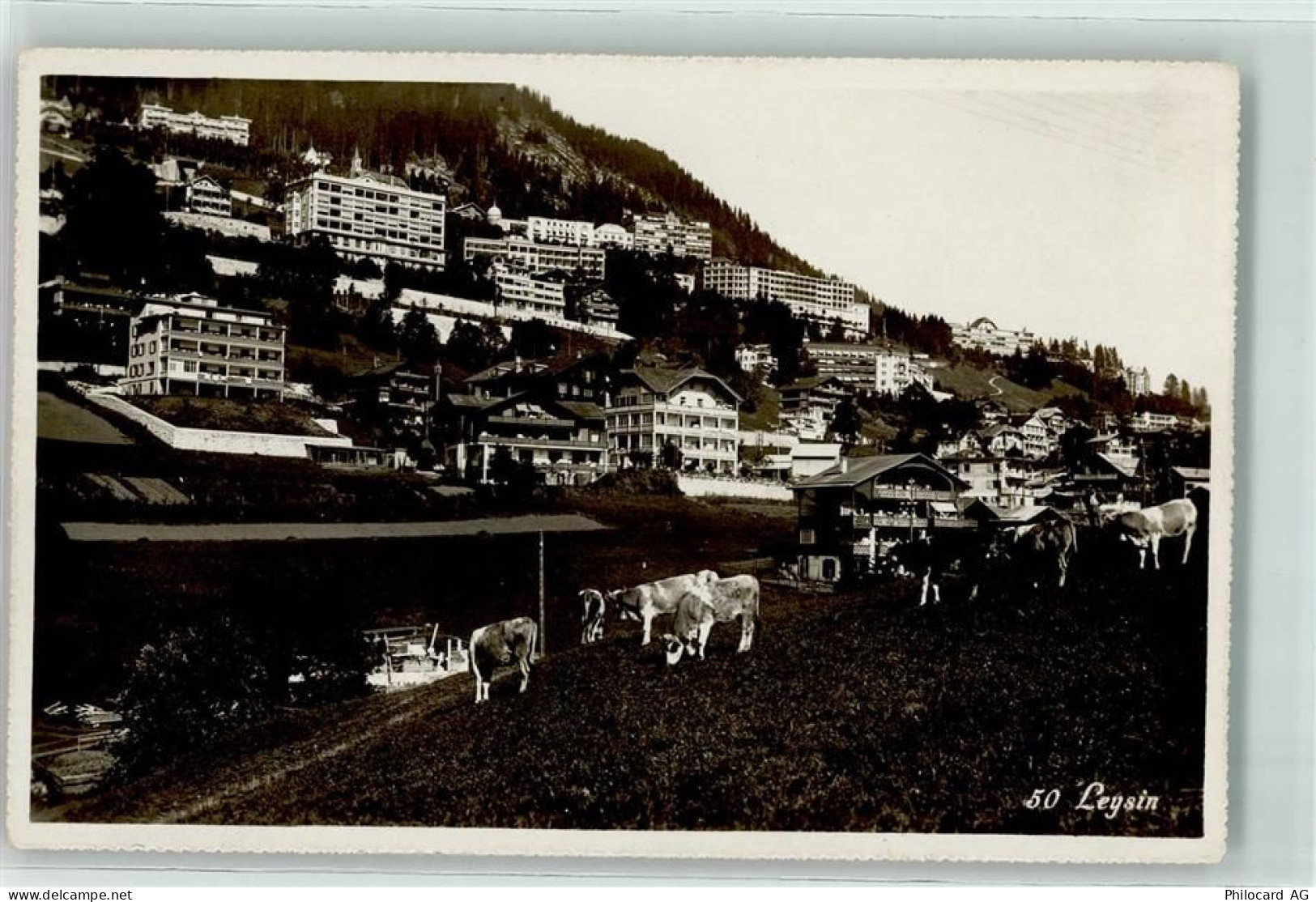 1854 Leysin - 39363776