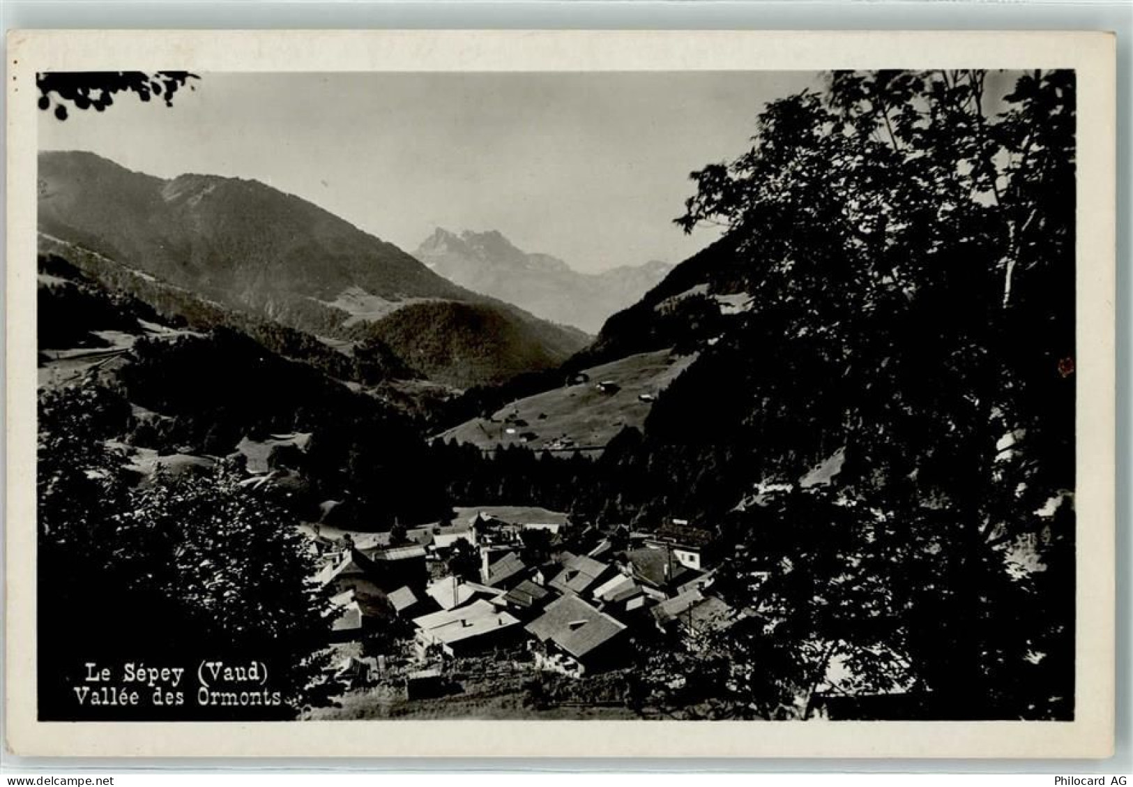 1863 Le Sépey Ormont-Dessous - 10606145