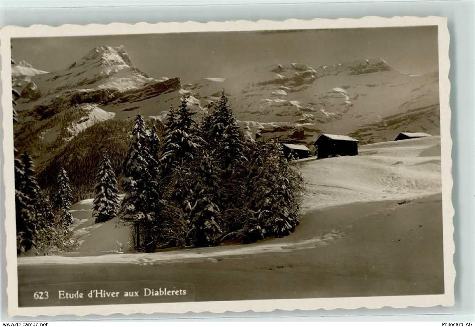 1865 Les Diablerets Ormont-Dessus - Winter - 10589456