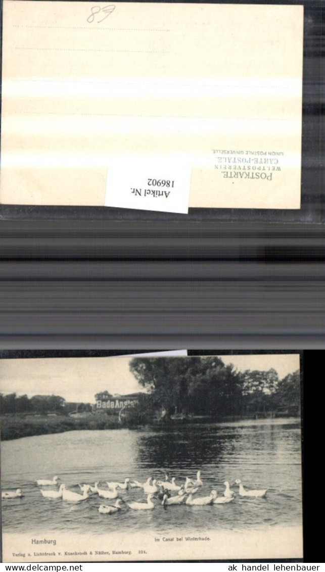 186902,Hamburg Im Canal b. Winterhude Badeanstalt Enten