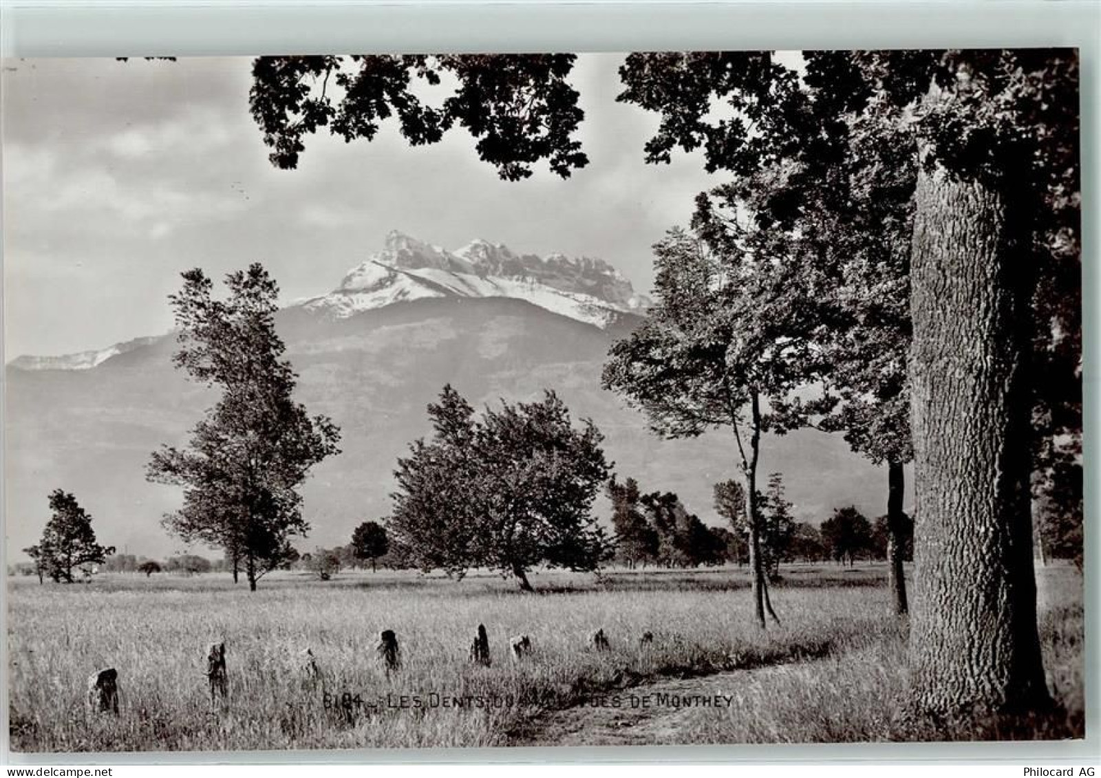 1870 Monthey - Dents du Midi - 10308618