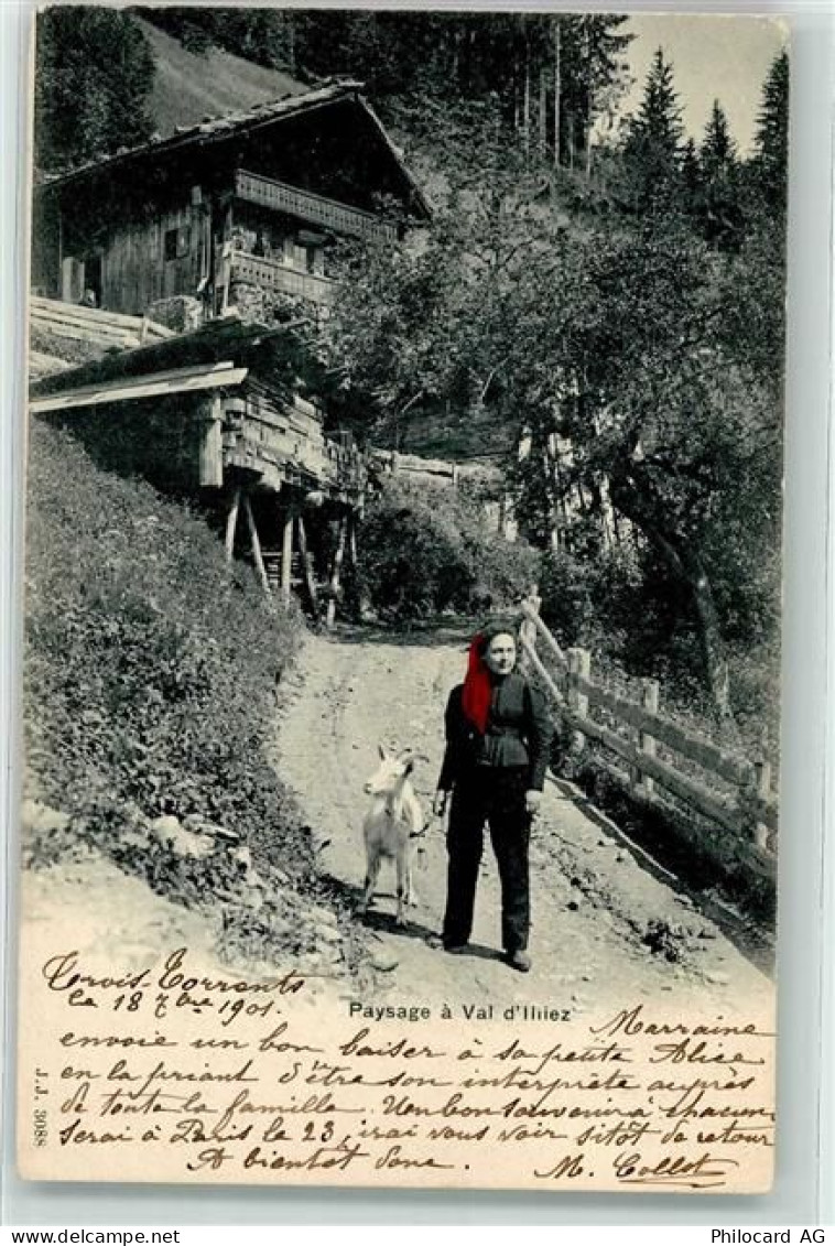 1873 Val-dIlliez 1901 - Bäuerin mit Ziege - 10601685