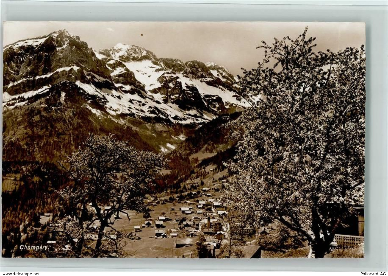 1874 Champéry - Bäume - 11052773