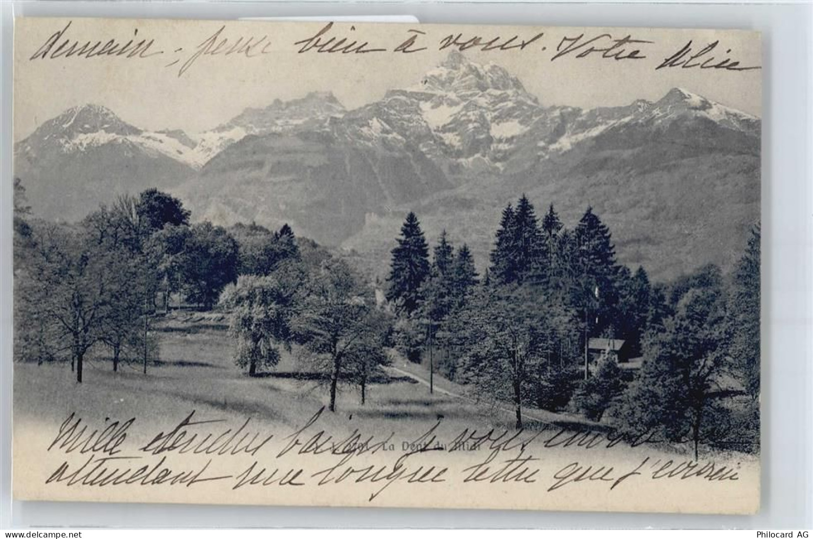 1880 Bex Le Chêne-sur-Bex - 50659721