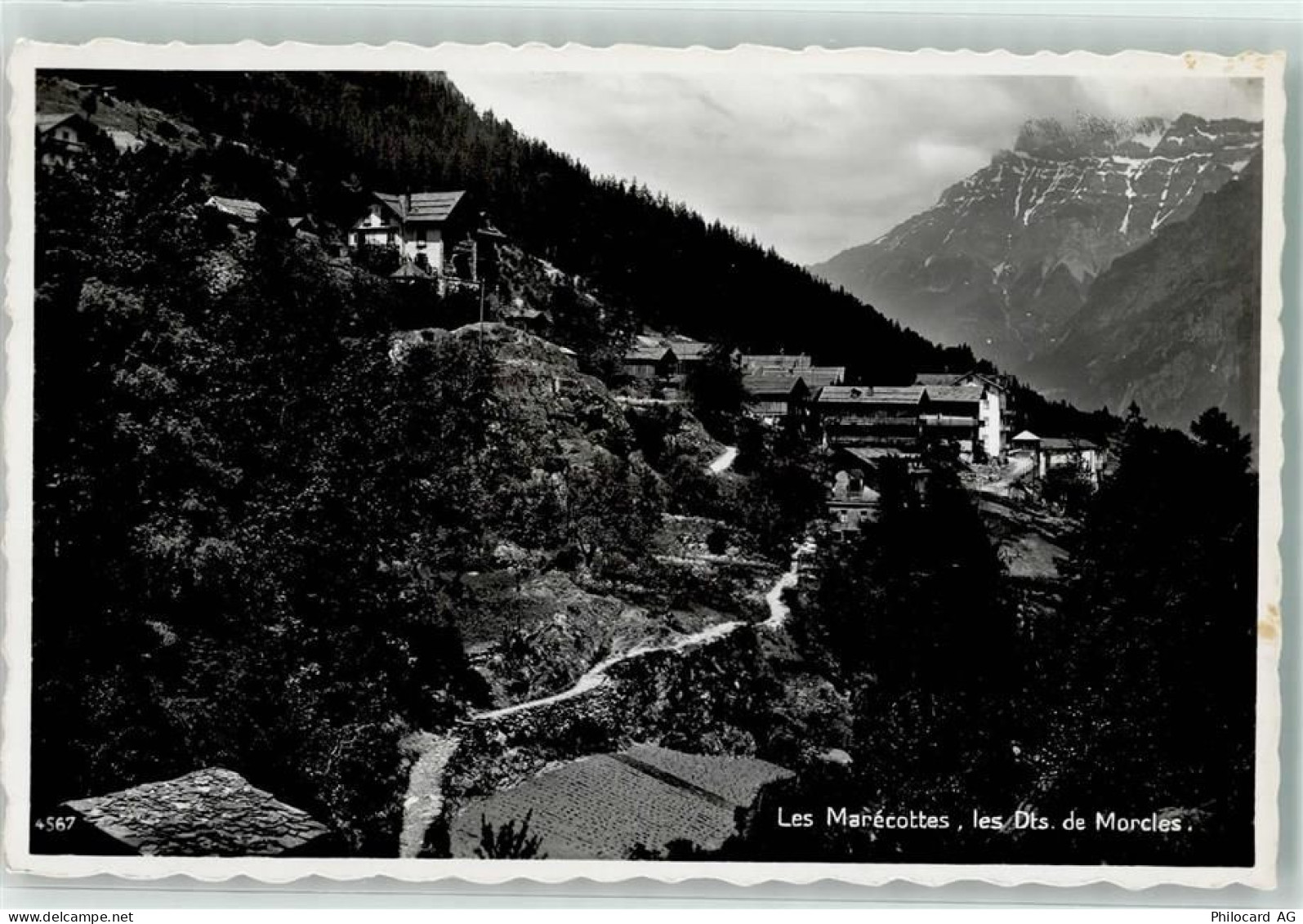 1892 Morcles Foto AK Les Marecottes - 39499462