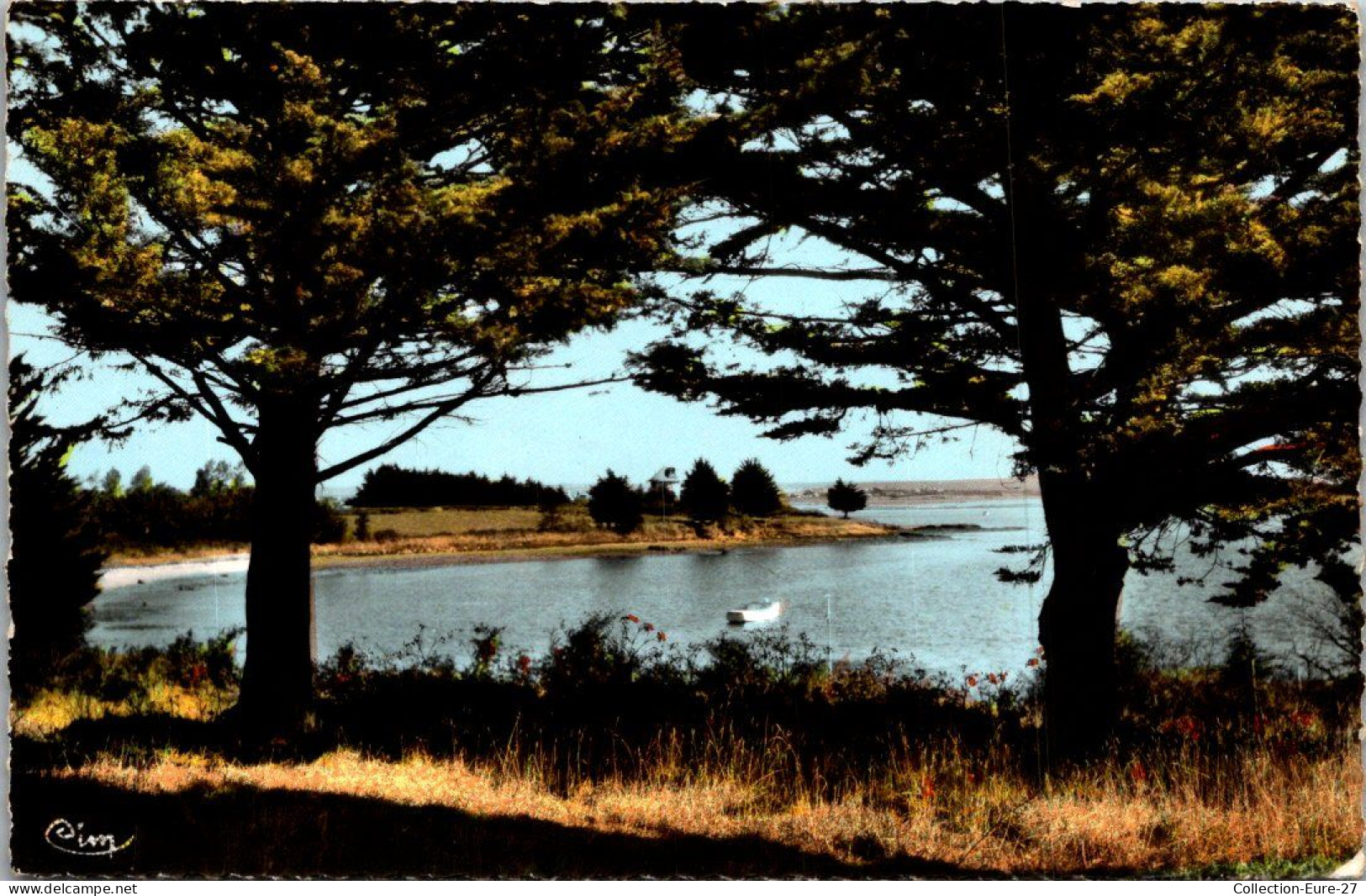 (19/02/26) 56-CPSM ILE D'ARZ