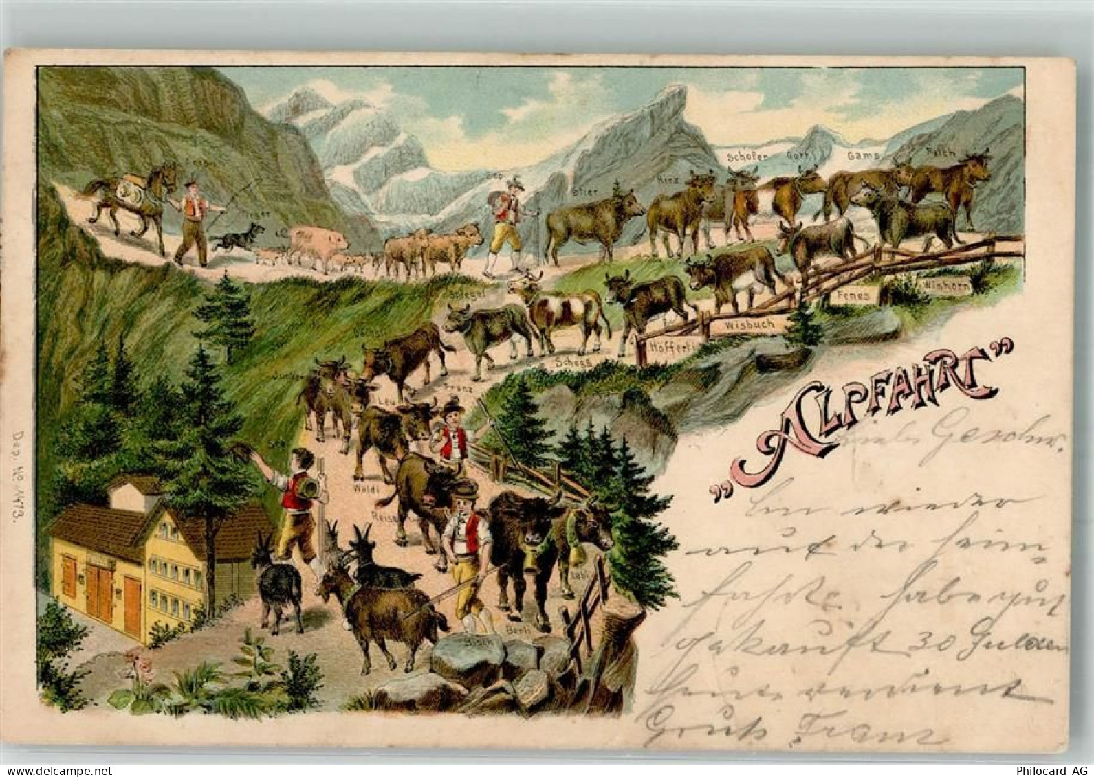 1903 Lithographie / Künstlerkarte Alpfahrt Kühe haben einen Namen - 13299418