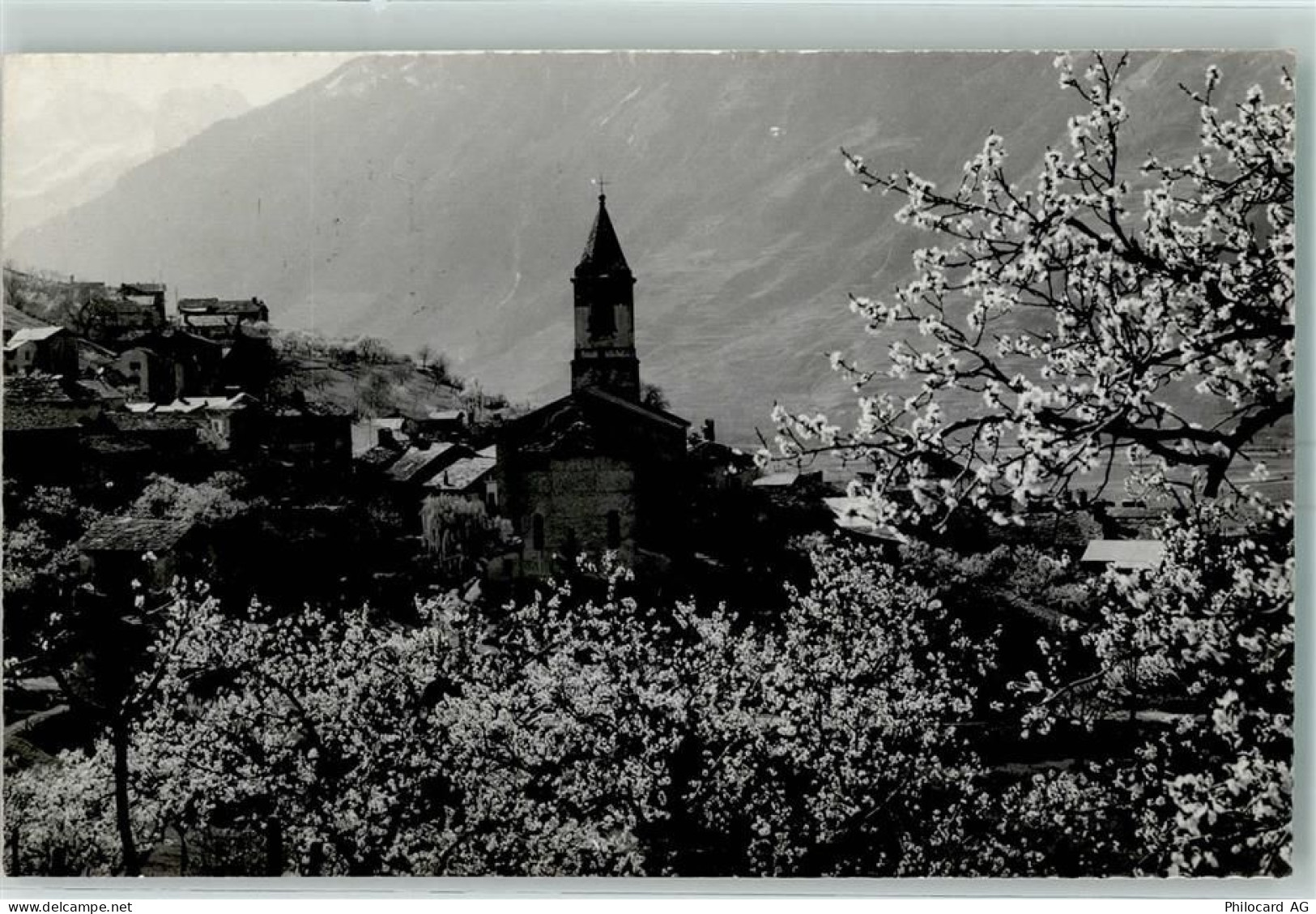 1907 Saxon Tovassière - Kirche Blühende Bäume - 10397624