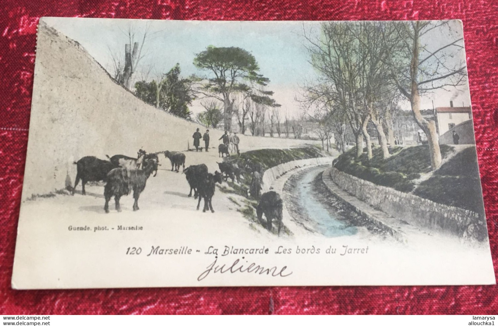 1909-La Blancarde les Bords du jarret Carte Postale [13] Bouches-du-Rhône Marseille Banlieue Cinq Avenues, Chave-chèvres