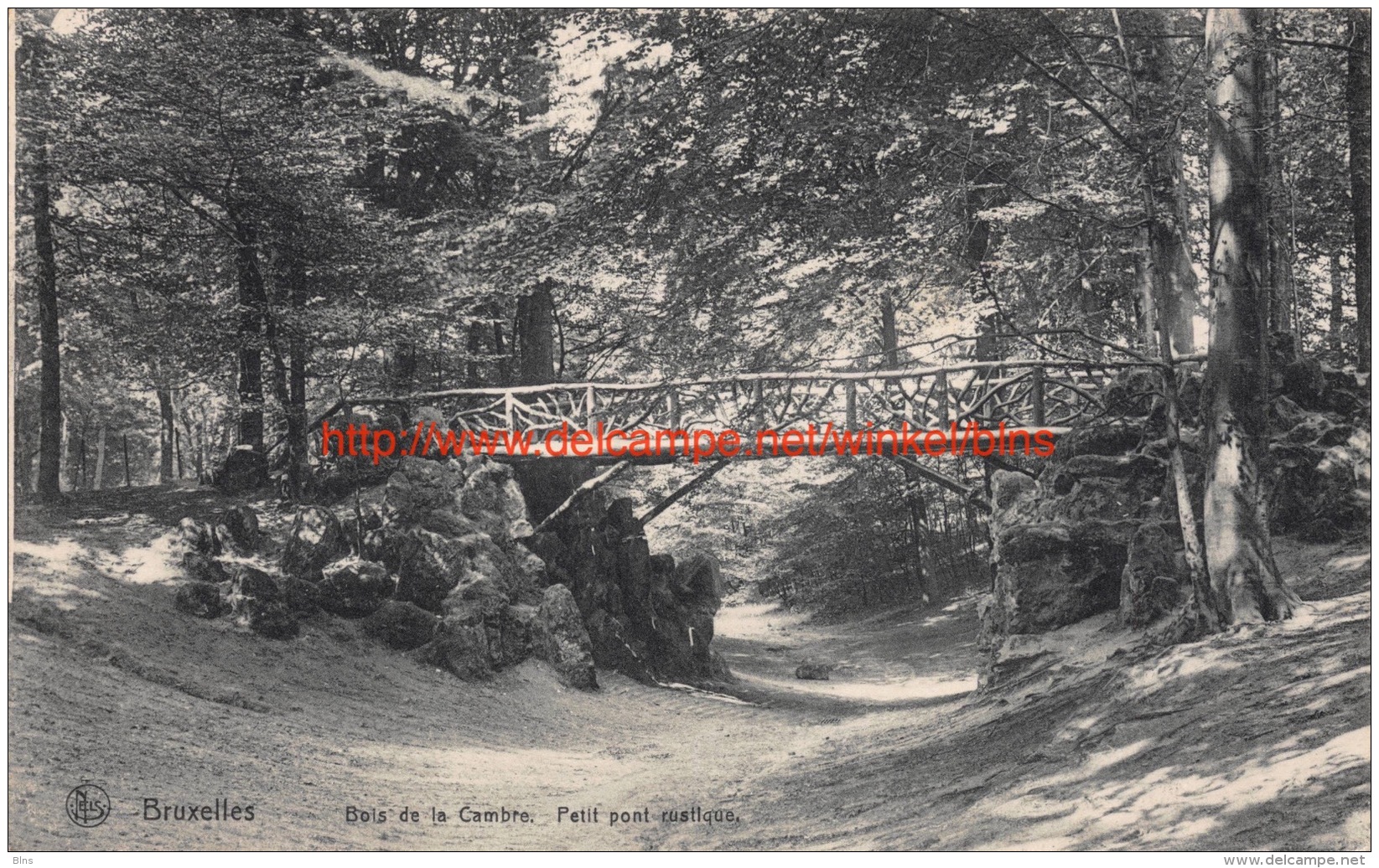 1913 Petit pont rustique - Bois de la Cambre