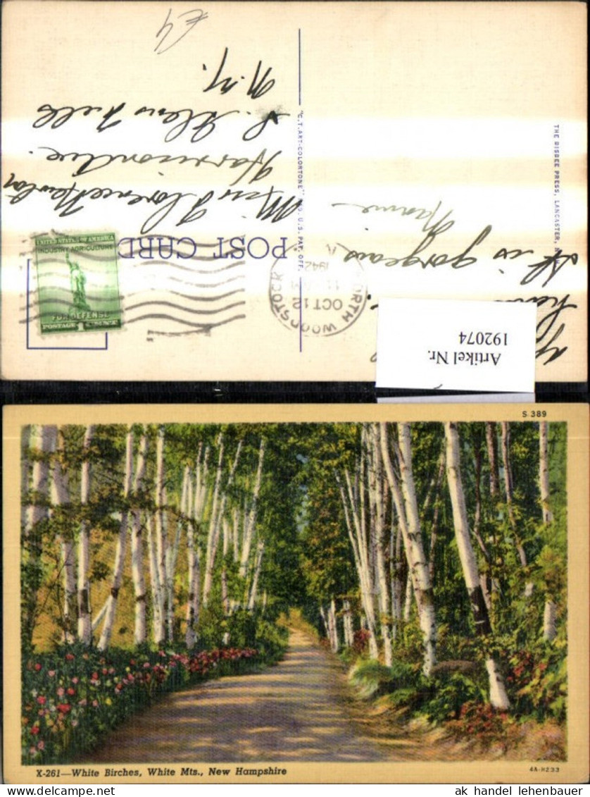 192074,New Hampshire White Mountains White Birches Straßenansicht Birken
