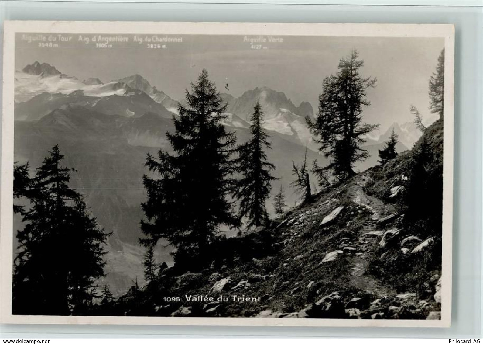 1929 Trient - Vallée du Trient Bäume - 12115828