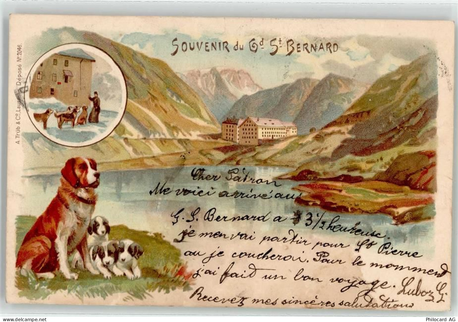 1933 Sembrancher 1903 Lithographie Bernhardiner Hotel St. Bernhard - 52021599