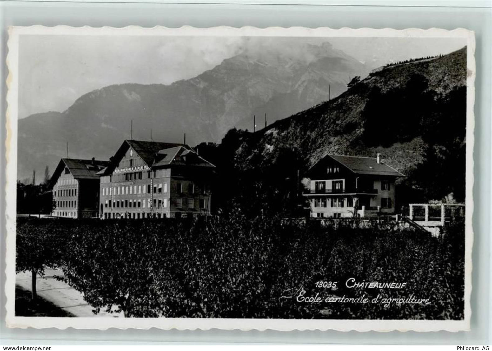 1964 Châteauneuf Conthey - Ecole cantonale dagriculture - 11064210