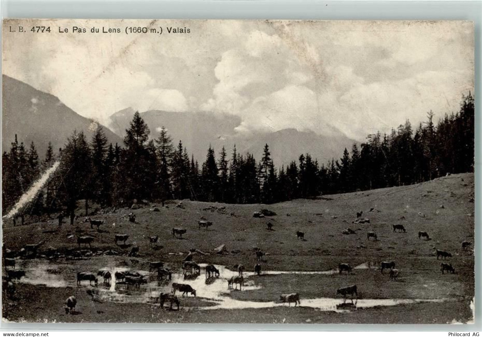 1978 Lens - Kuhherde Pas du Lens - 10307424