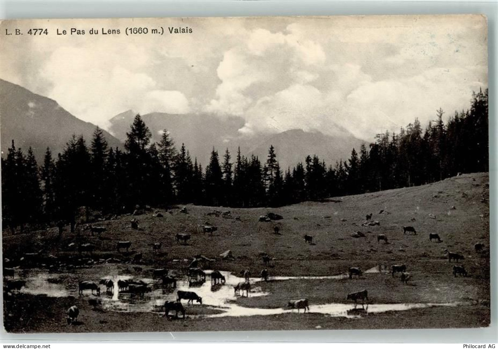 1978 Lens - Kuhherde Pas du Lens - 10307425