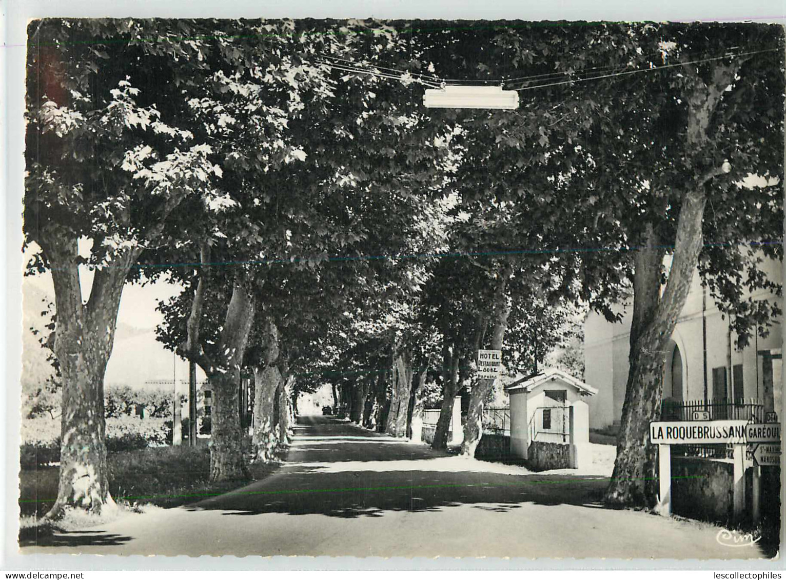 19841 - LA ROQUEBRUSSANNE - CPSM - ENTREE DU VILLAGE