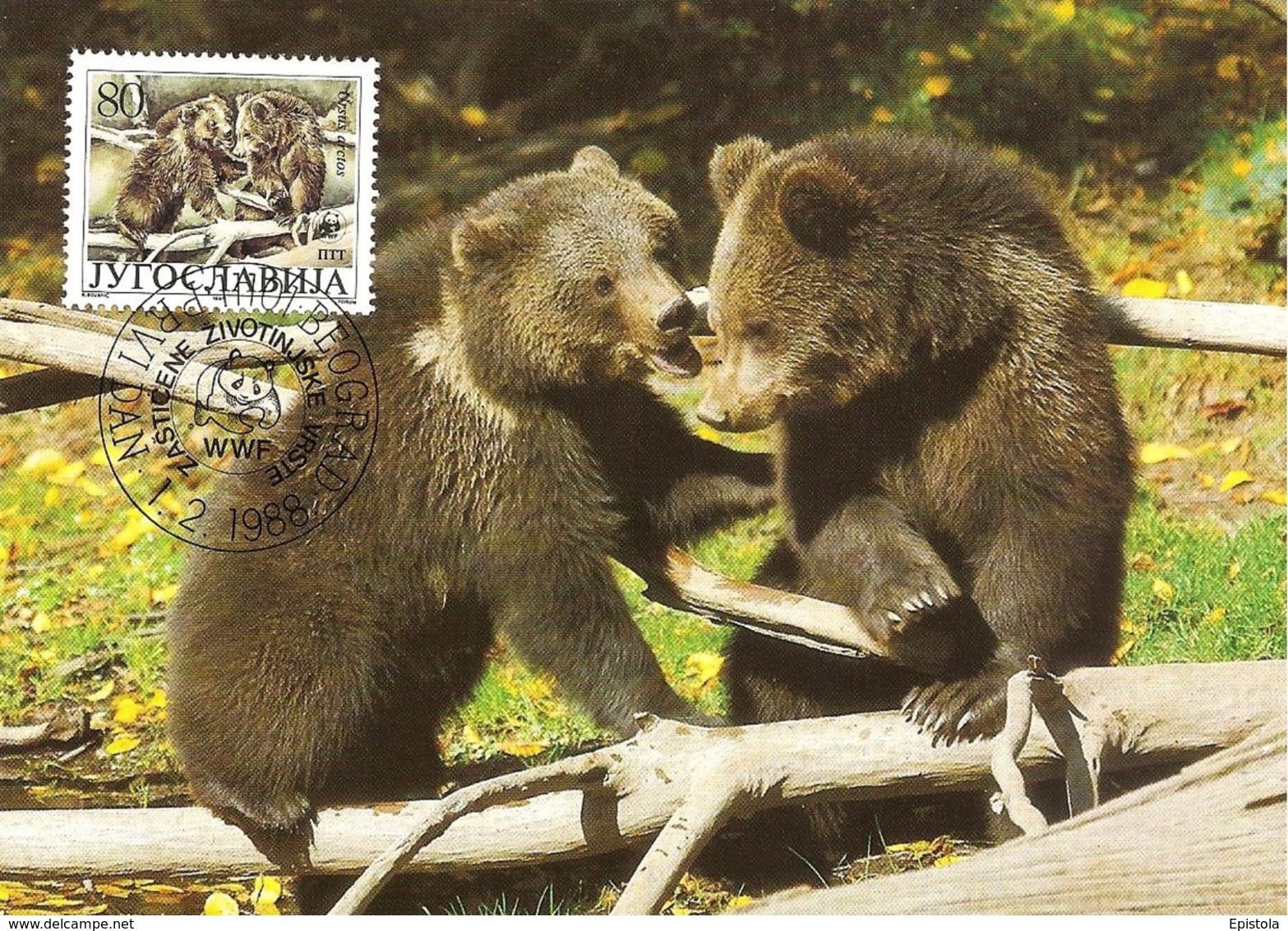 1988 - BEOGRAD - Brown Bear - Ours Brun de jugoslavia WWF