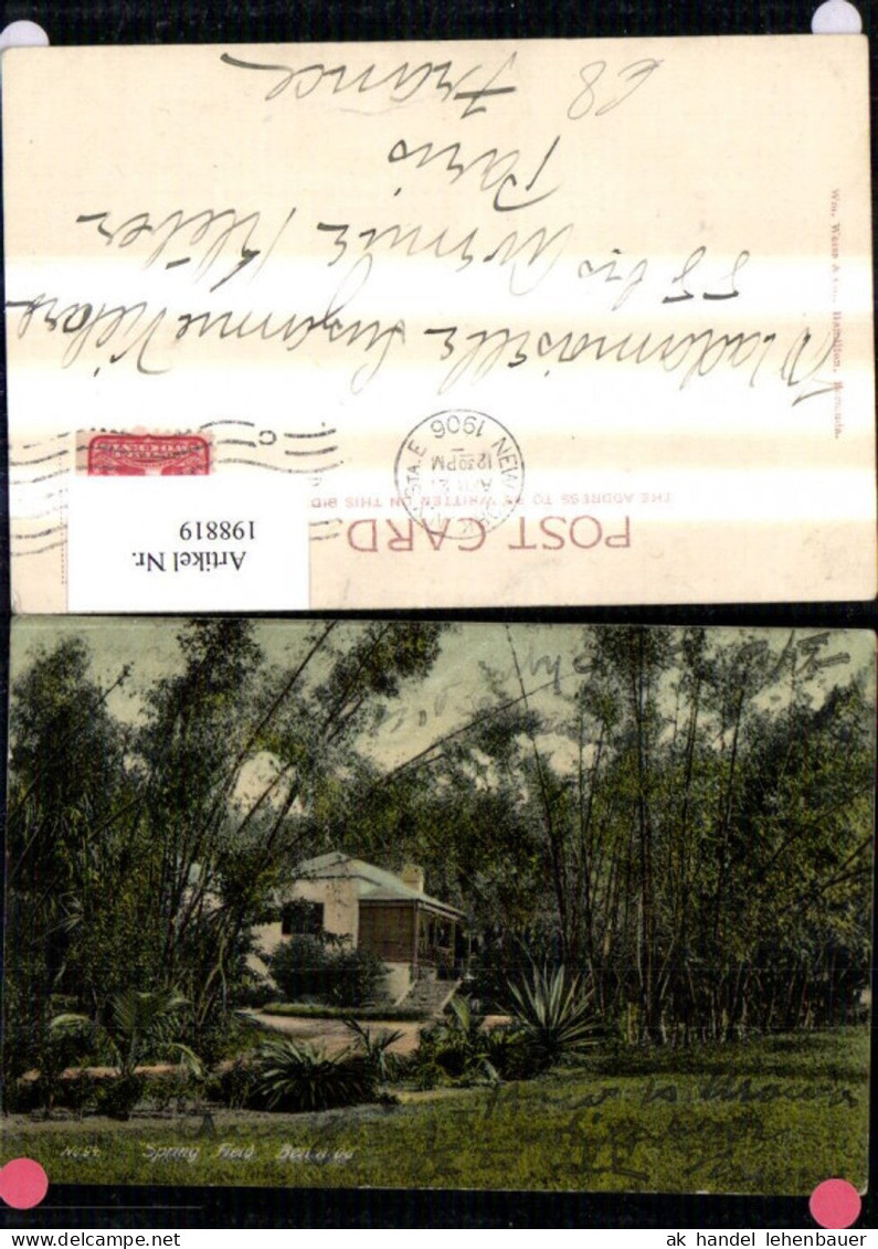 198819,Bermuda Spring Field Bermuda Inselgruppe Britisches Überseegebiet