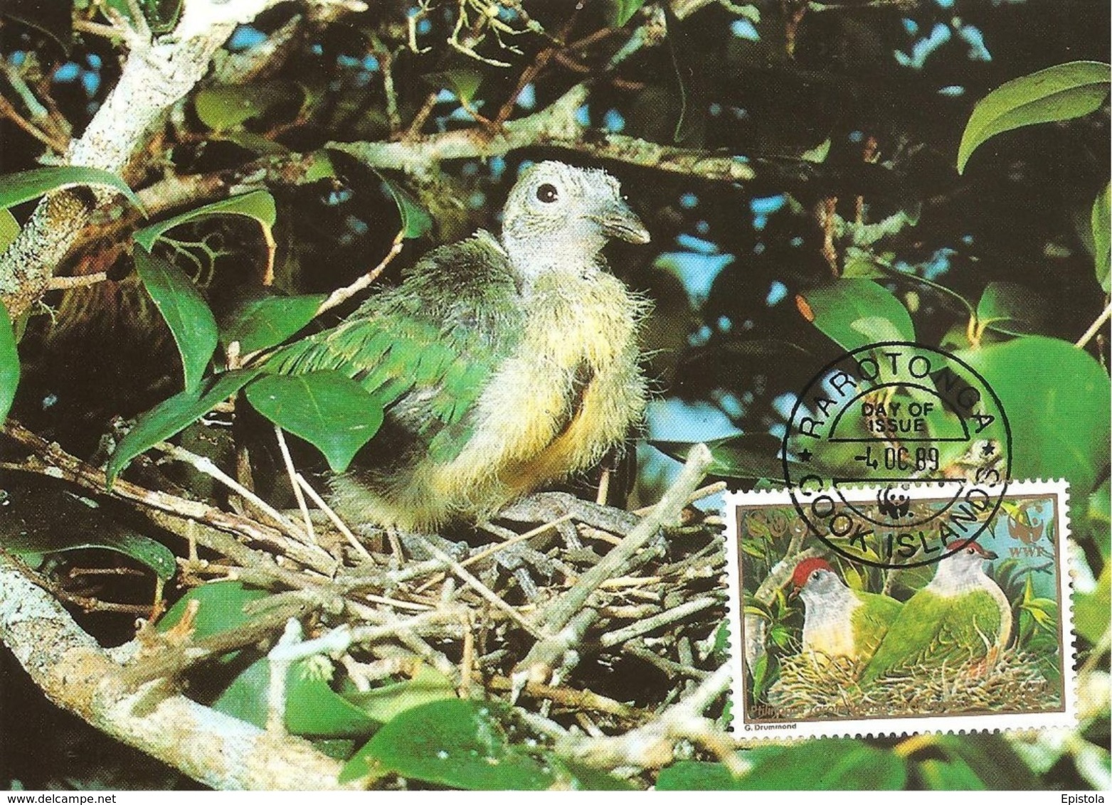 1989 - COOK ISLANDS Rarotonga - Fruit Dove -  Ptilope nain WWF