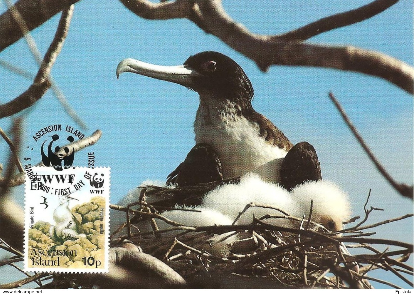 1990 - Ascension Island - Greater Frigatebird - Oiseau Fregate Nid  WWF