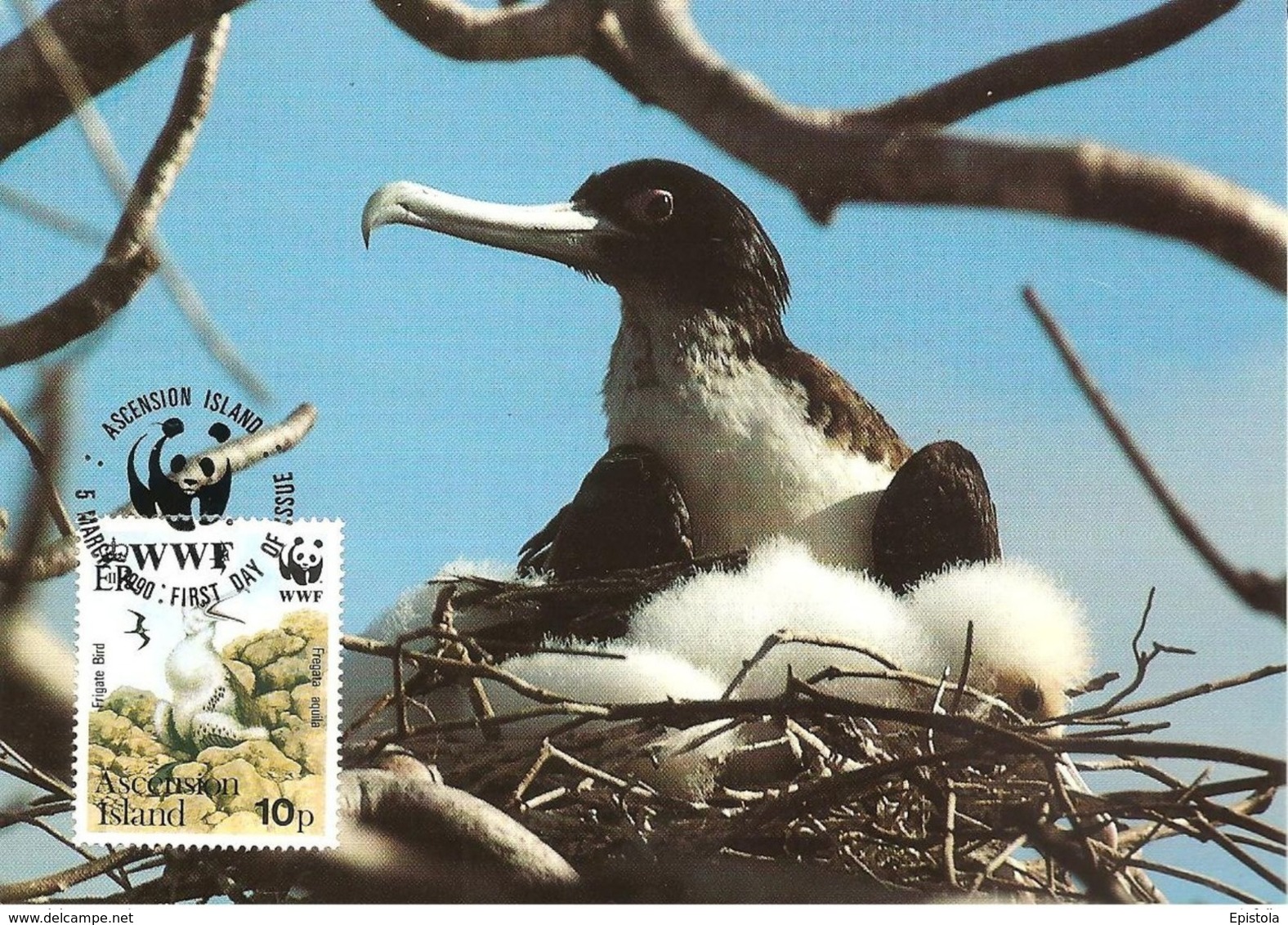 1990 - Ascension Island - Greater Frigatebird - Oiseau Fregate Nid  WWF