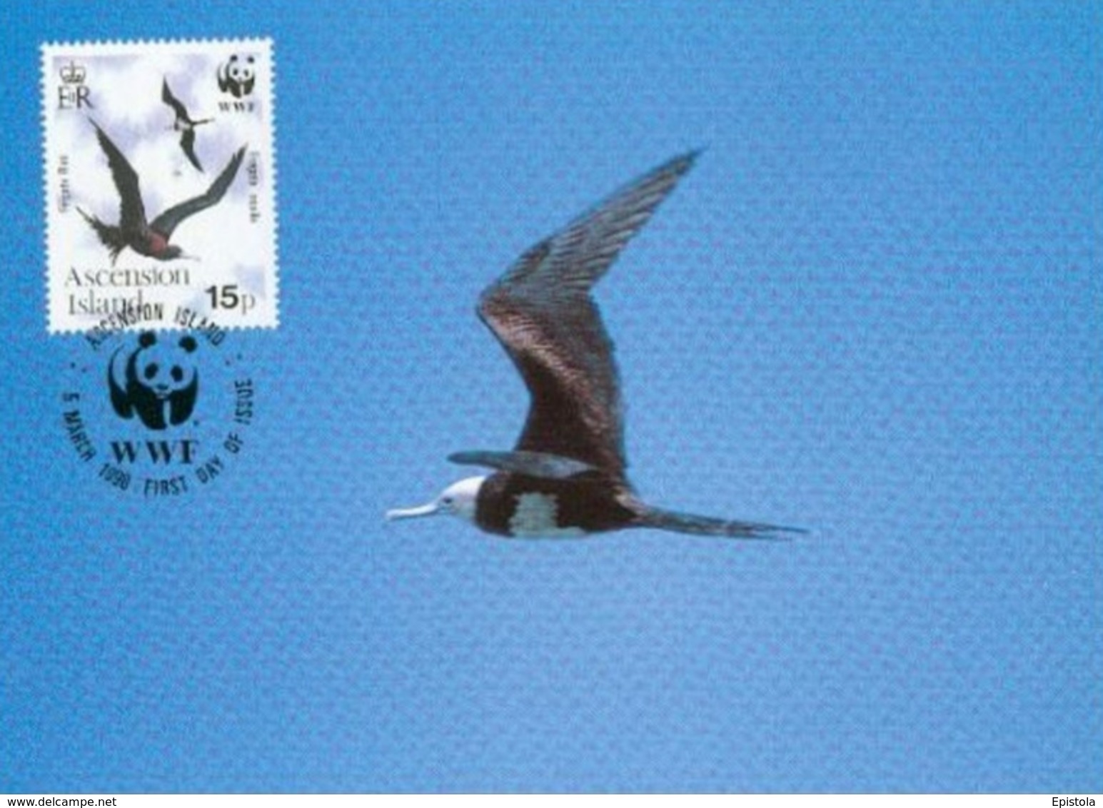 1990 - Ascension Island - Greater Frigatebird - Oiseau Fregate Nid  WWF