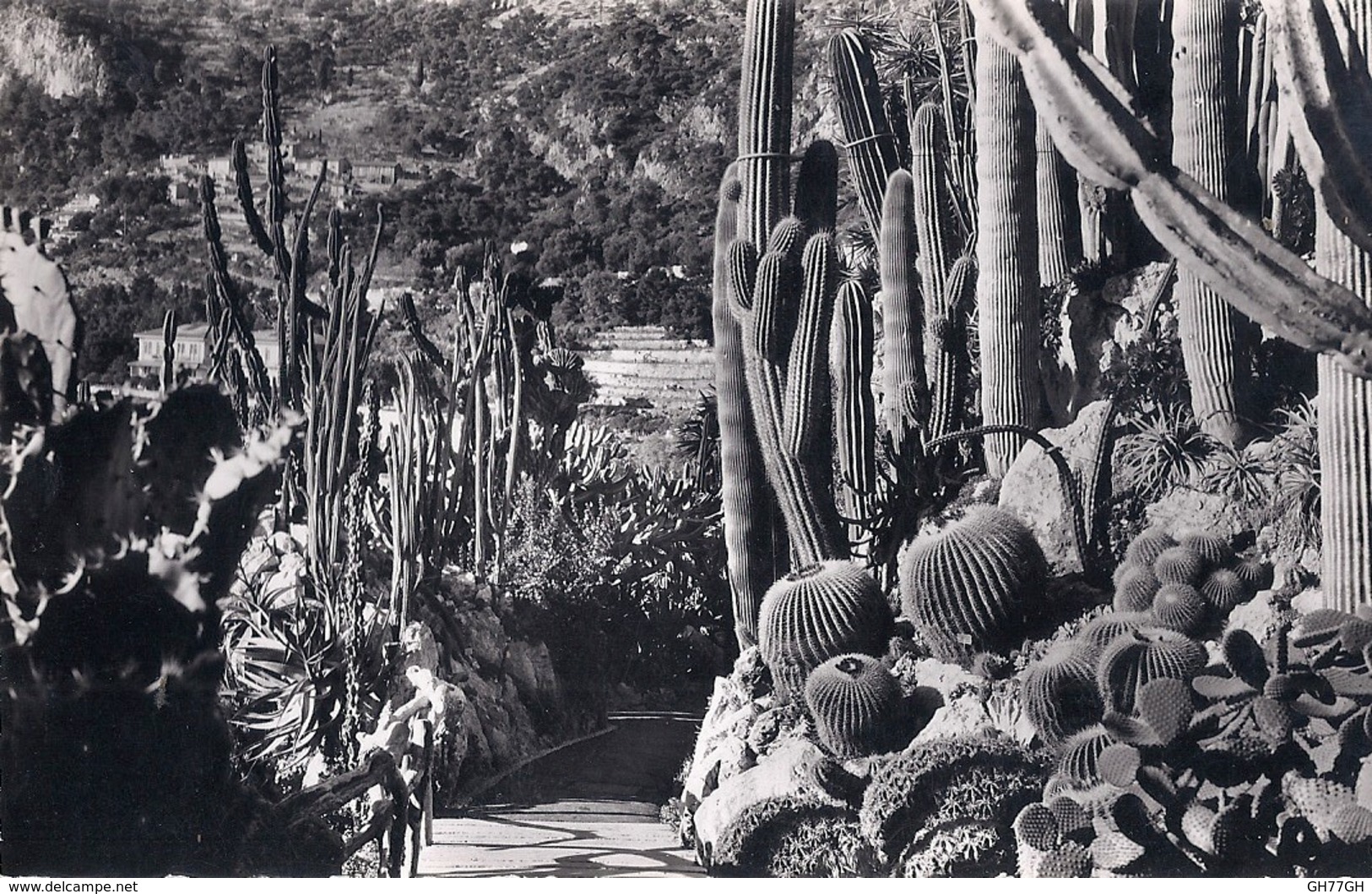 2 CPA JARDIN EXOTIQUE DE MONACO