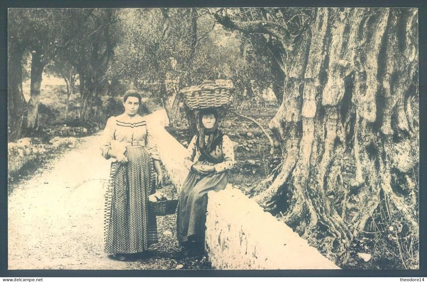 20 2B Haute Corse Arbre Millenaire en Corse Vizzavona ? Costume Paysanne