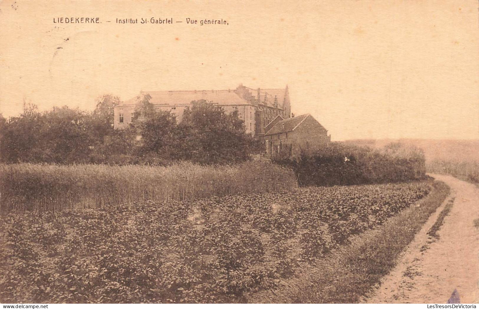 [-20%] BELGIQUE - Liedekerke - Institut St Gabriel - Vue générale - Campagne - Plantations - obl 1925 - Carte Postale An