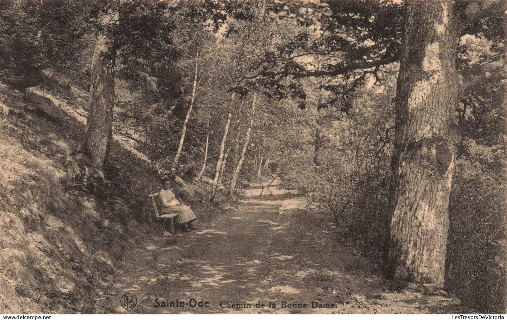 [-20%] BELGIQUE - Sainte Ode - Chemin de la Bonne Dame - Carte Postale  Ancienne