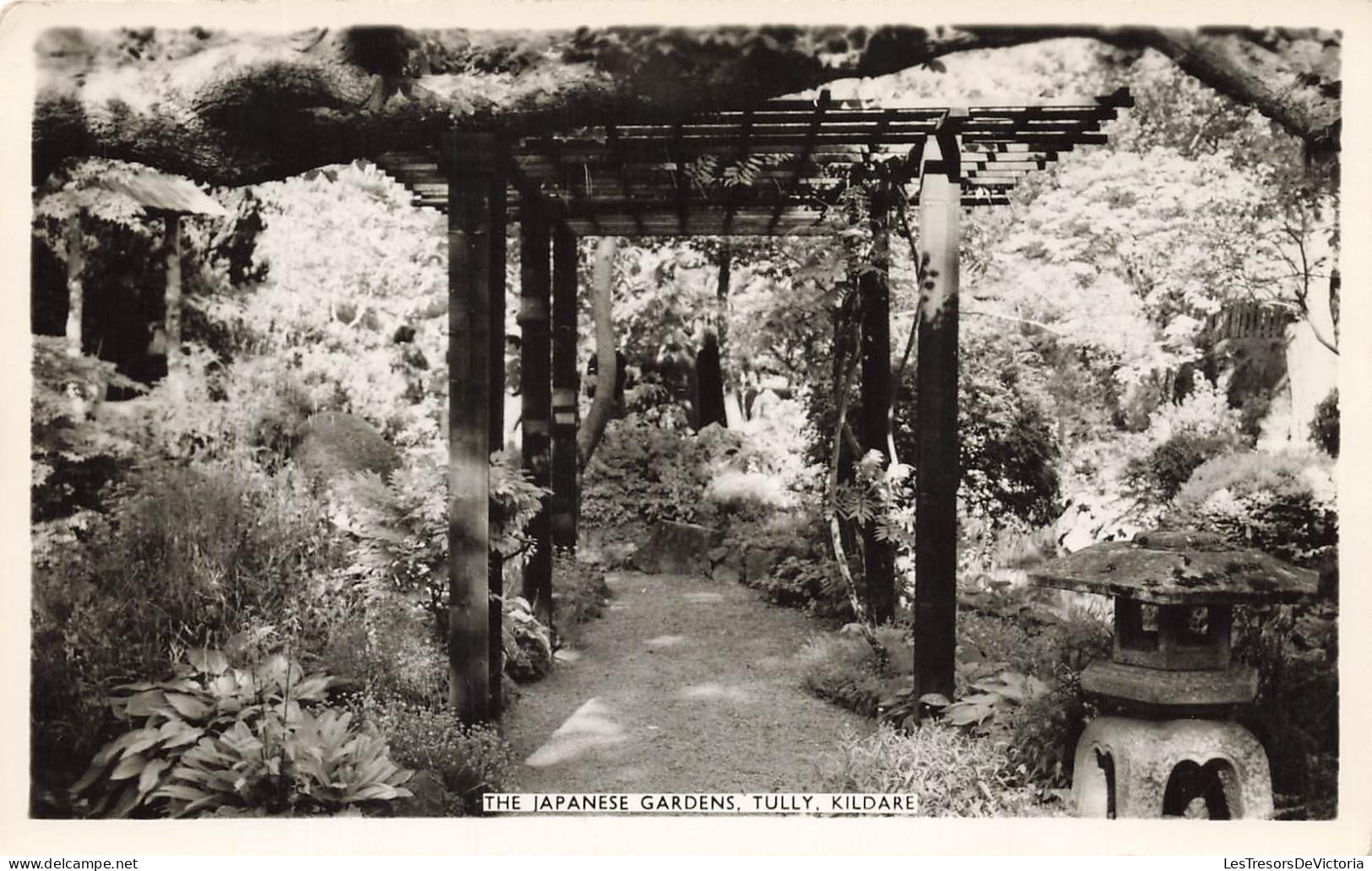 [-20%] IRLANDE - The Japanese Gardens - Tully - Kildare - Carte Postale Ancienne