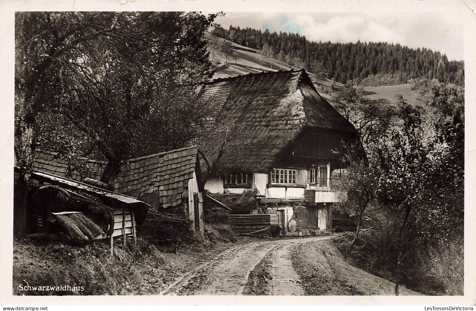 [-20%] MONDE - Schwazwaldhaus - Carte Postale Ancienne
