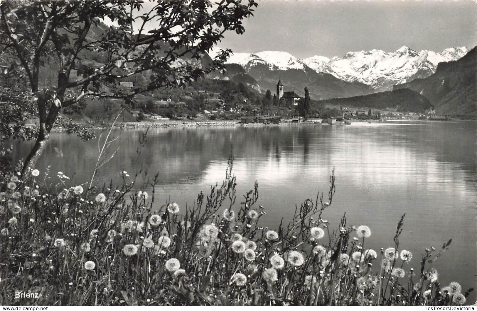 [-20%] SUISSE - Brienz - vue sur une partie du village - lac - Carte Postale Ancienne