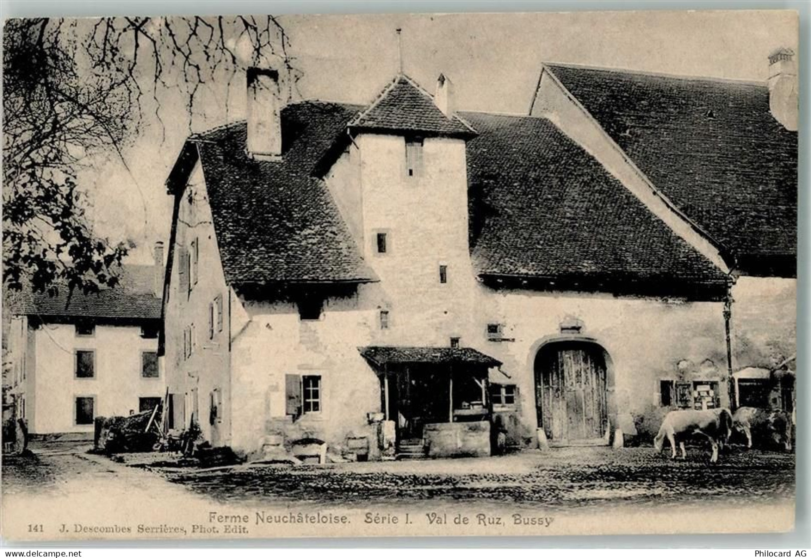 2000 Neuchâtel Neuenburg 1904 - Val de Ruz Bussy Kühe - 13968409