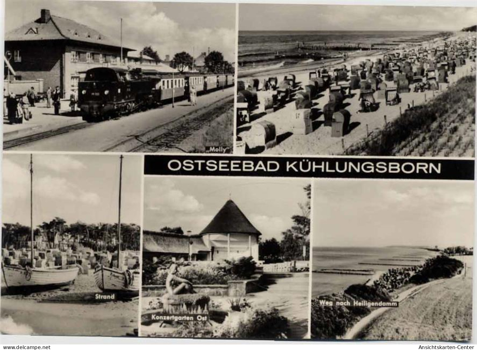 20008967 - Kuehlungsborn