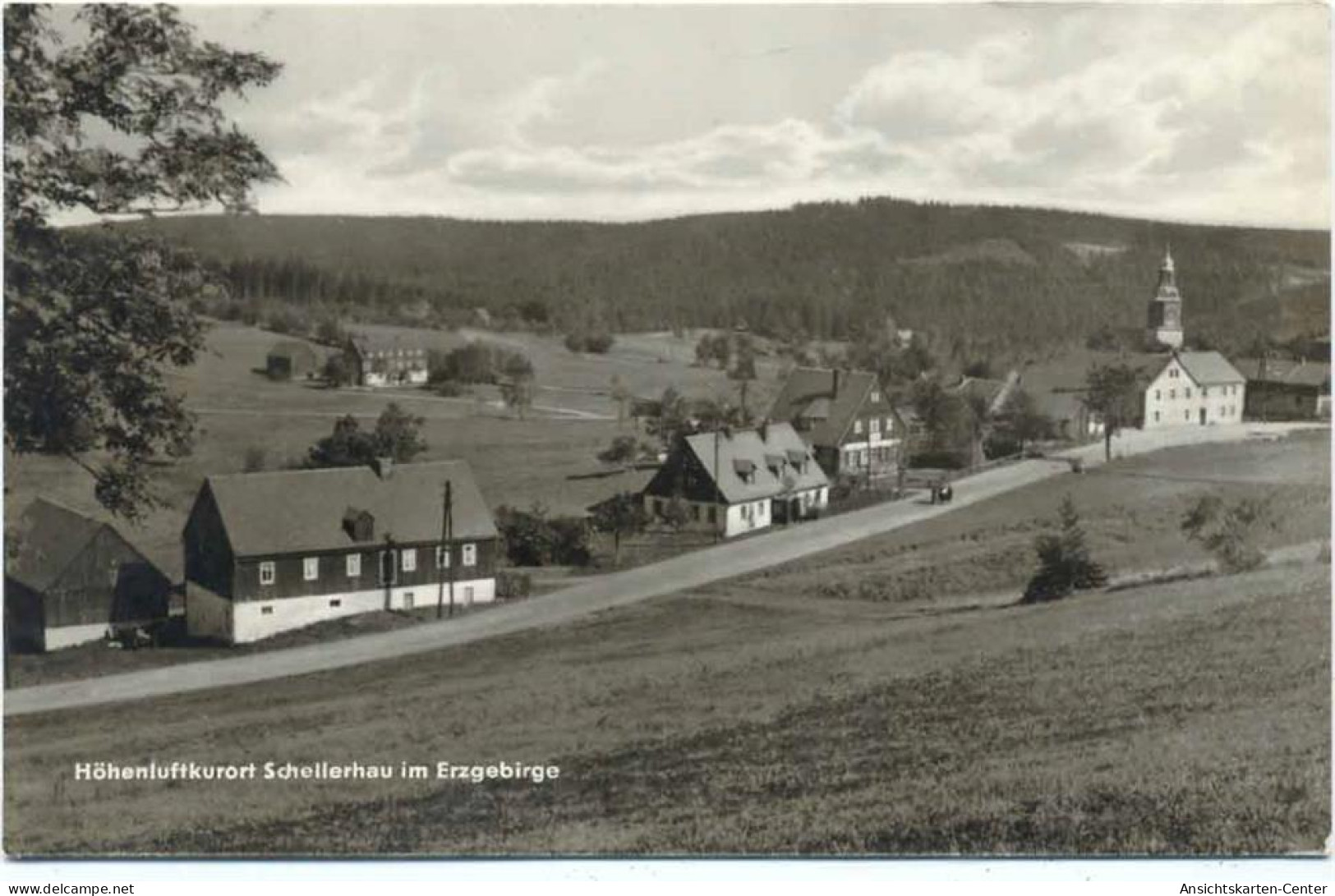 20013780 - Schellerhau