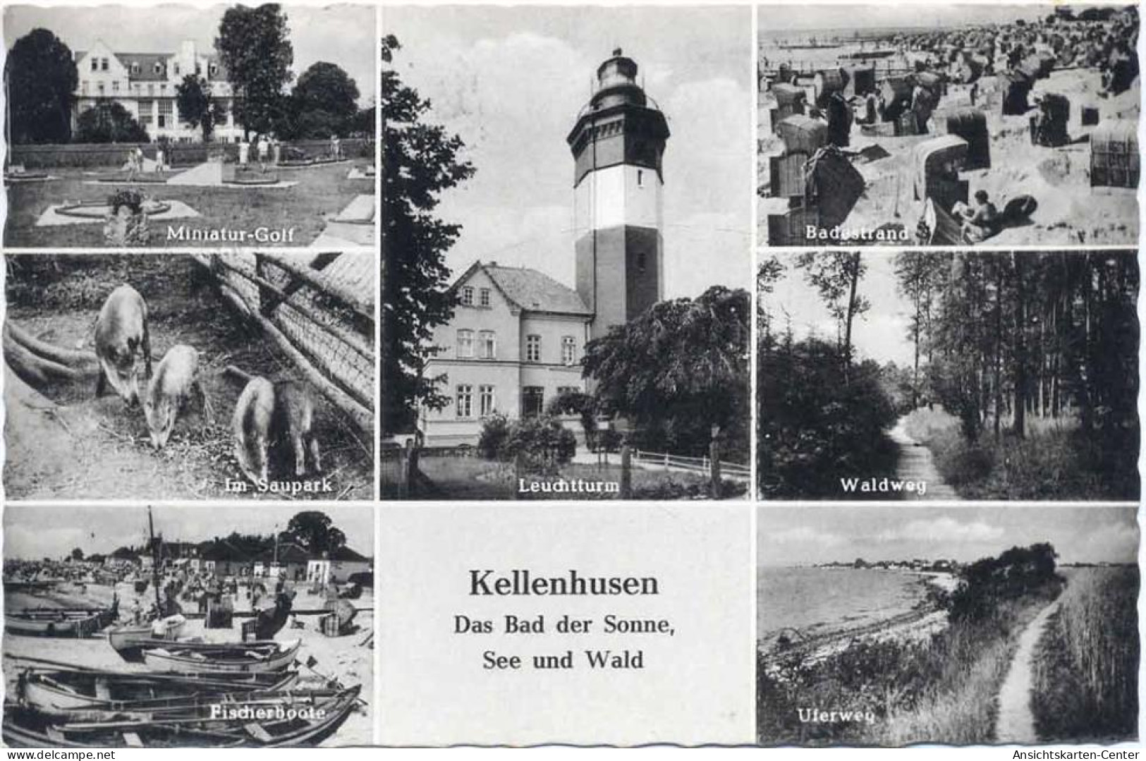 20019131 - Kellenhusen