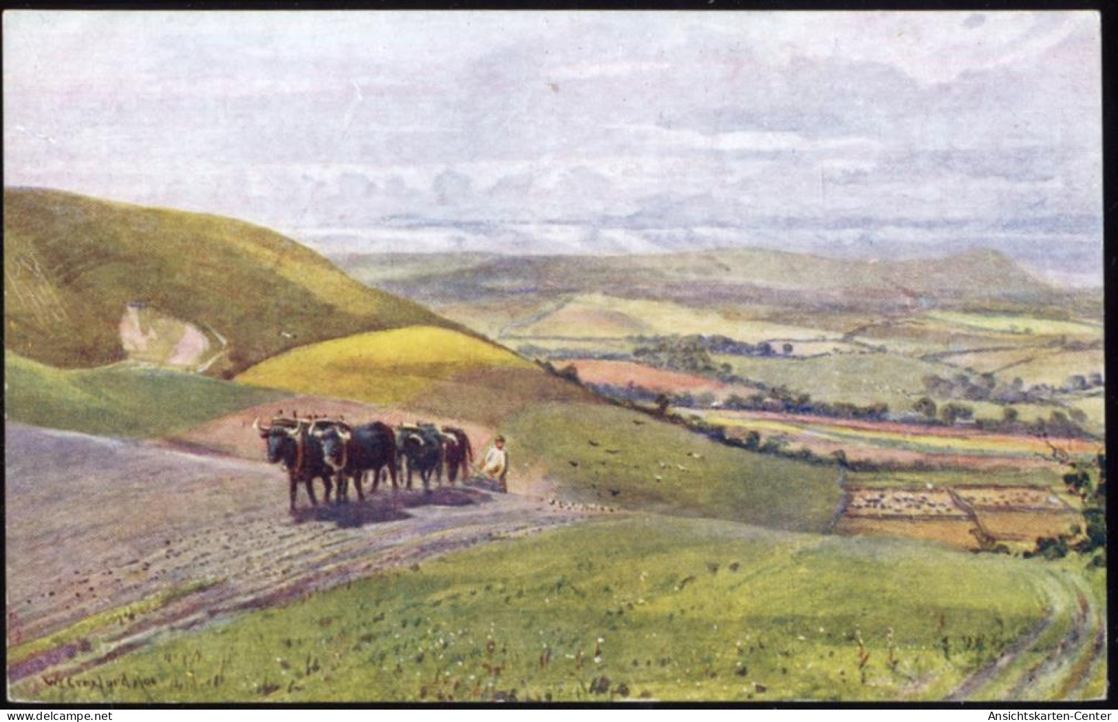 20063347 - Wilmington - Ochsengespann