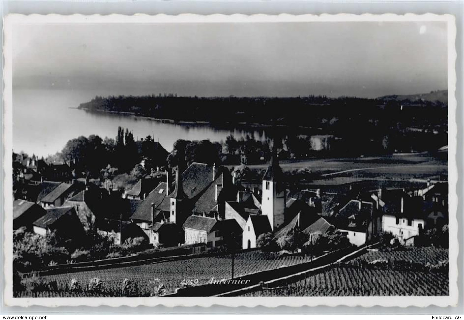 2012 Auvernier - 50412819